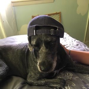 Meet your Posher, Diana